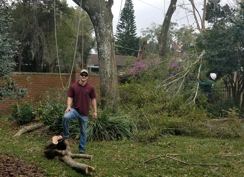 A step ahead of Mother Nature -- Arborist Alec Lantagne stands with a section of the water oak that had a cavity left over from storm damage. "These are portals for decay," he said. (Courtesy of Marni Jameson)