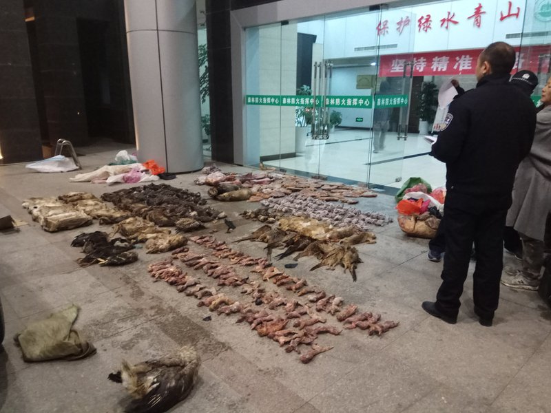 FILE - In this Jan. 9, 2020, file photo provided by the Anti-Poaching Special Squad, police look at items seized from store suspected of trafficking wildlife in Guangde city in central China's Anhui Province. As China enforces a temporary ban on the wildlife trade to contain the outbreak of a new virus, many are calling for a more permanent solution before disaster strikes again. (Anti-Poaching Special Squad via AP, File)