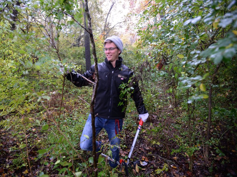 NWA Democrat-Gazette/ANDY SHUPE
Ethan Anderson, a junior at the University of Arkansas from Joplin, Mo., removes bush honeysuckle Saturday, Oct. 26, 2019, from along Spout Spring Branch in Walker Park in Fayetteville while volunteering with Beaver Watershed Alliance during the annual Make a Difference Day. Volunteers from the campus community spent the day volunteering all around Northwest Arkansas as a part of the national day of community service.