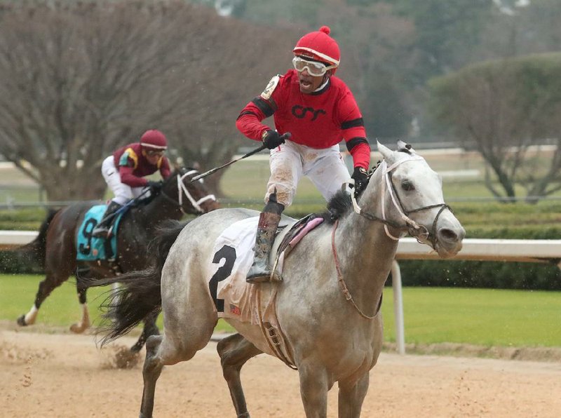 Jockey Ricardo Santana celebrates aboard Silver Prospector after winning the Southwest Stakes on Monday at Oaklawn in Hot Springs.
(The Sentinel-Record/Richard Rasmussen)
