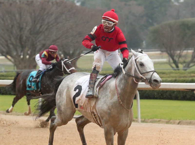 Jockey Ricardo Santana Jr., celebrates aboard Silver Prospector (2) at the wire after winning the Southwest Stakes at Oaklawn Racing Casino Resort on Feb. 17, 2020. - Photo by Richard Rasmussen of The Sentinel-Record