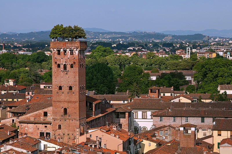 One of Lucca’s surviving towers is the Torre Guinigi, with 227 steps leading up to a small garden of fragrant trees.

(Rick Steves’ Europe/Dominic Arizona Bonuccell)