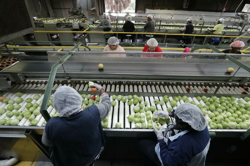 Workers sort through tomatoes before inspection and packing earlier this month in Florida City, Fla. Wholesale food prices rose 0.2% in January even though egg prices dropped 42.4%.
(AP/Wilfredo Lee)