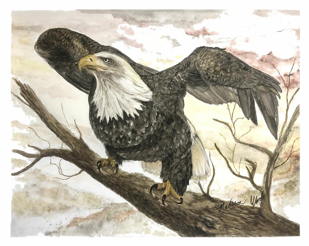 "All of my work begins with foraging for pigments," says Woods. "I go to the creeks on our property to look for rocks. We have colorful sandstones in various hues, but they're easiest to see while they're wet. I'll also collect leaves from a couple of trees that give me pigments I know are light-fast, and root bark of the sassafras tree when I can find upturned trees, and bones of all sorts." (Courtesy Photo)