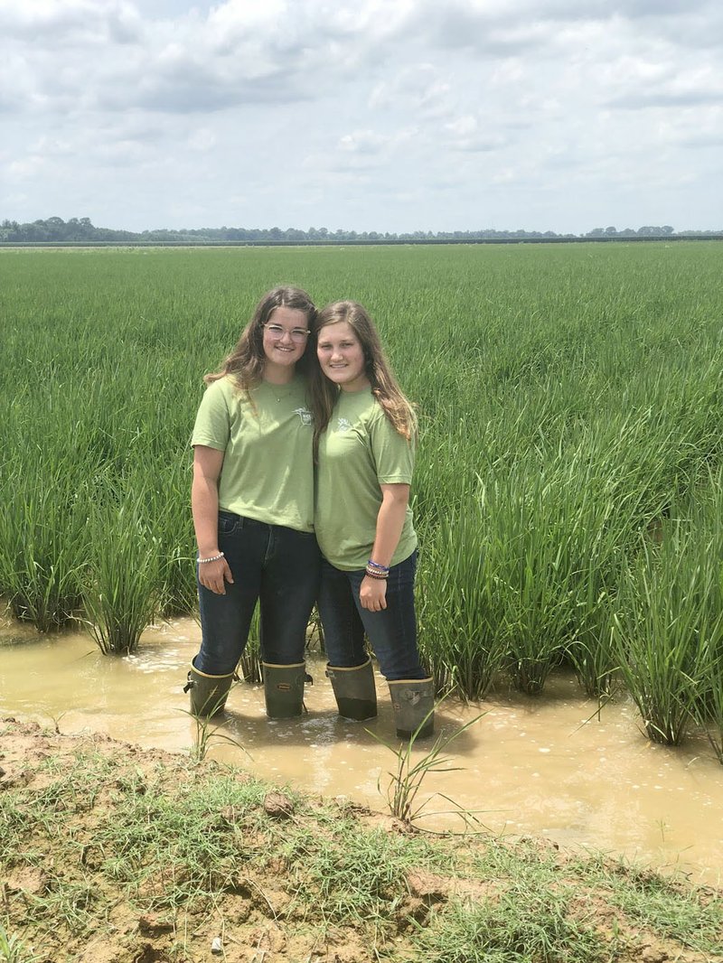 SUBMITTED PHOTO Twins Isabella and Abigail Norsworthy, members of Farmington FFA, stand in a rice farm in the Delta with the Rice Reps Program.