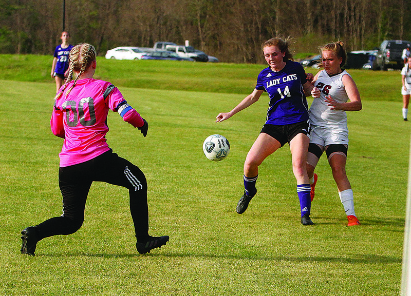El Dorado's Carson Henry tries to get a shot off against pressure from a Benton defender in action last season. Henry, a senior, became the first Lady Wildcat to sign a Division I letter when she inked with Louisiana Tech during the fall. She is waiting to find out if her high school career is finished because of the caronavirus outbreak.