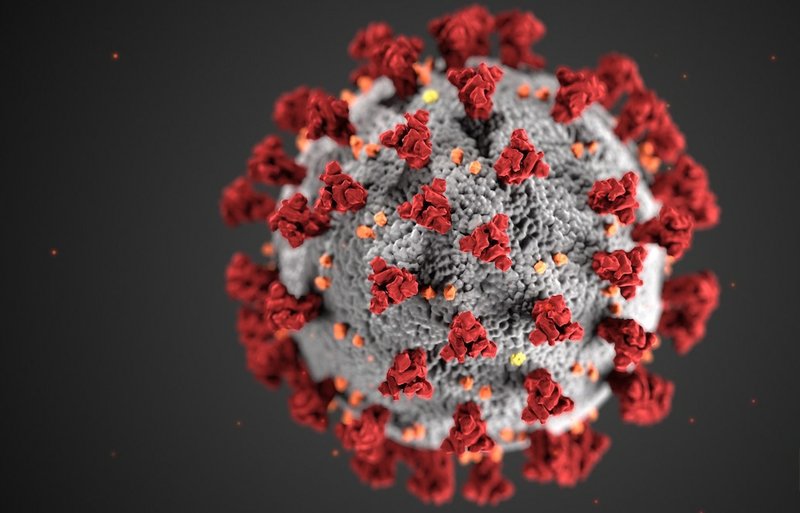 A rendition of the coronavirus by the CDC. 