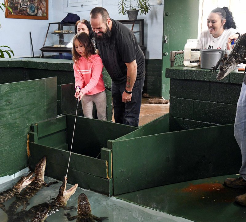 Virus takes bite out of Alligator Farm's business