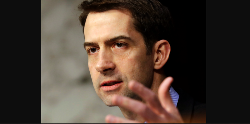 FILE — In this 2017 file photo, Sen. Tom Cotton, R-Ark., speaks during a Senate Intelligence Committee hearing, on Capitol Hill in Washington. (AP Photo/Jacquelyn Martin)