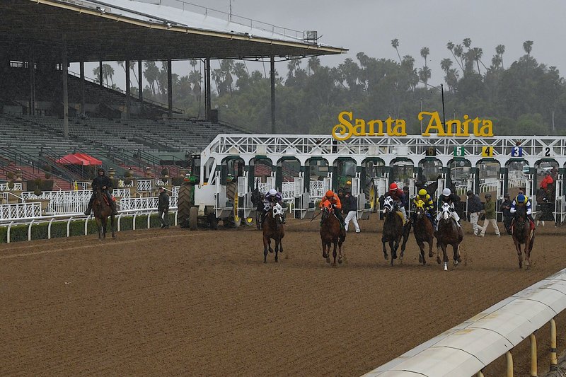 Horses run in the fourth race at Santa Anita Park in front of empty stands on March 14 in Arcadia, Calif. The track in Arcadia, Calif., was forced to cancel racing by the Los Angeles County Health Department on Friday. - Photo by Mark J. Terrill of The Associated Press