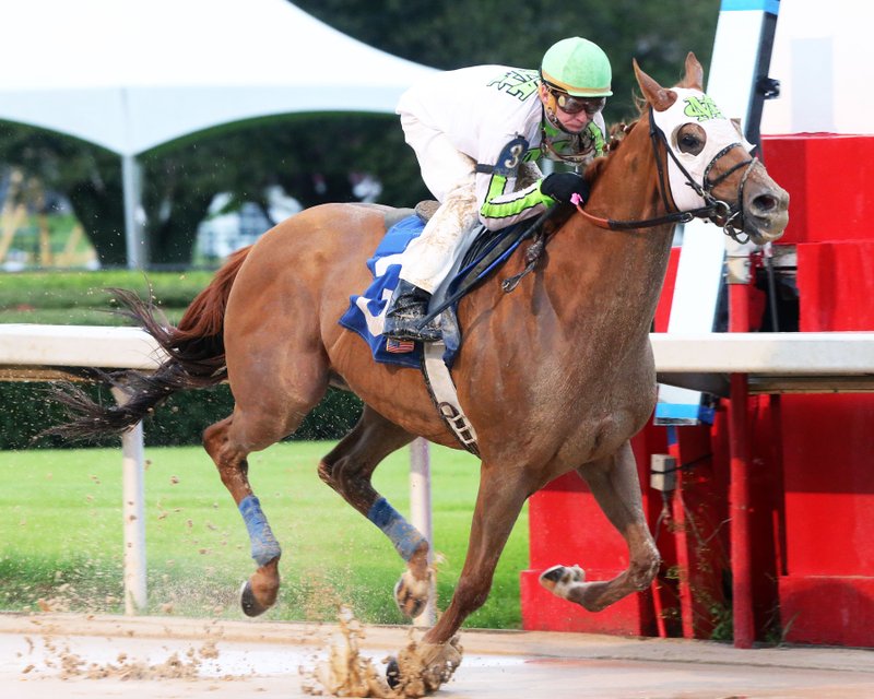 K J's Nobility, under Hall of Fame jockey Calvin Borel, races to a three-length win of the Nodouble Breeders' Stakes Saturday at Oaklawn Park. - Photo courtesy of Coady Photography