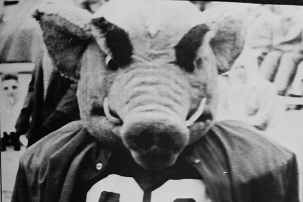 State of the Hogs: Catching up with Sweet P, the 'Dancing Razorback ...
