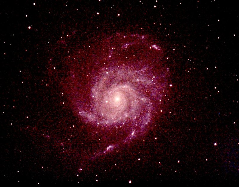 David Cater/Star-Gazing Pictured is spiral galaxy M101, just one of billions to be seen in April.