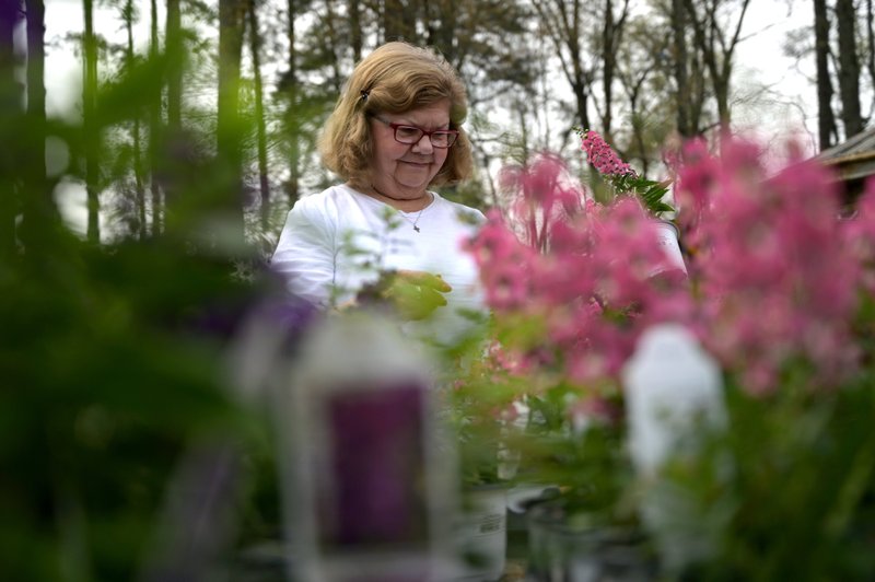 Sandra Mims of Little Rock shops for plants at Good Earth Garden Center in Little Rock on March 27. 


(Arkansas Democrat-Gazette / Stephen Swofford)