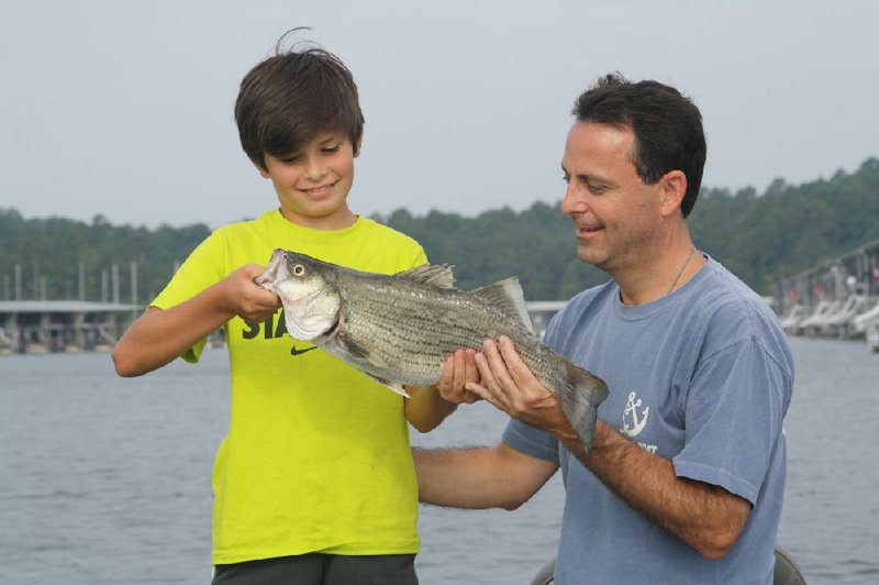 Jackson Hall (left) and his dad, Robert Hall, admire a hybrid that Jackson caught on DeGray Lake in 2015. (Arkansas Democrat-Gazette/Bryan Hendricks) 