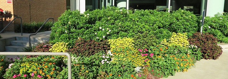 Helping Beautify UAMS | The Arkansas Democrat-Gazette - Arkansas' Best ...