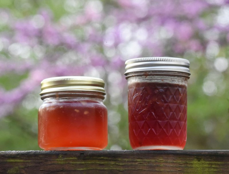 The flowers of redbud trees make April 1 2020 tasty jelly.