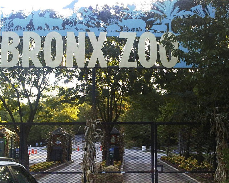 The Associated Press ANIMAL INFECTION: This Sept. 21, 2012, file photo shows an entrance to the Bronx Zoo in New York. A tiger at the zoo has tested positive for the new coronavirus. It's believed to be the first infection in an animal in the U.S. and the first known in a tiger anywhere, the U.S. Department of Agriculture said Sunday. The zoo says all the animals are expected to recover.