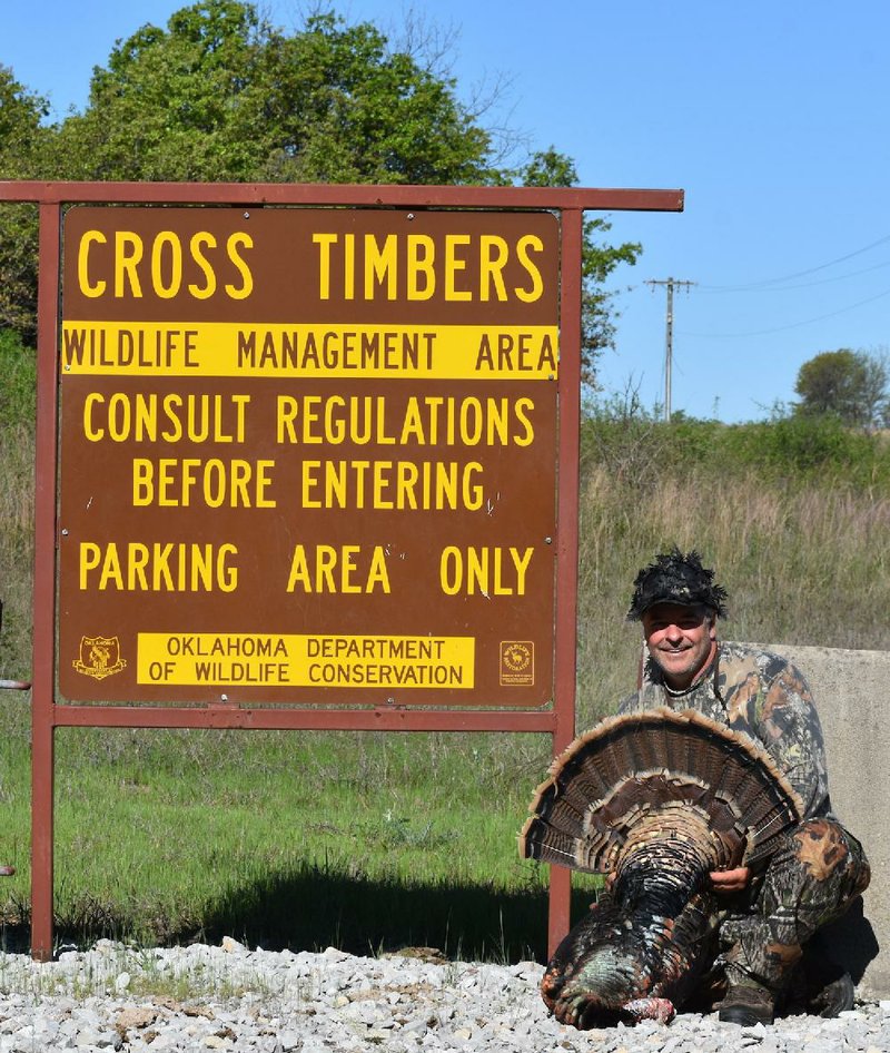 Two days of intensive scouting enabled the author to bag this fine Rio Grande gobbler Wednesday during a controlled spring turkey hunt at Oklahoma’s Cross Timbers Wildlife Management Area (Arkansas Democrat-Gazette/Bryan Hendricks).
