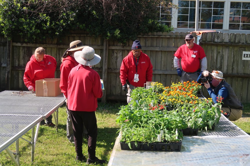 Plants for UAMS