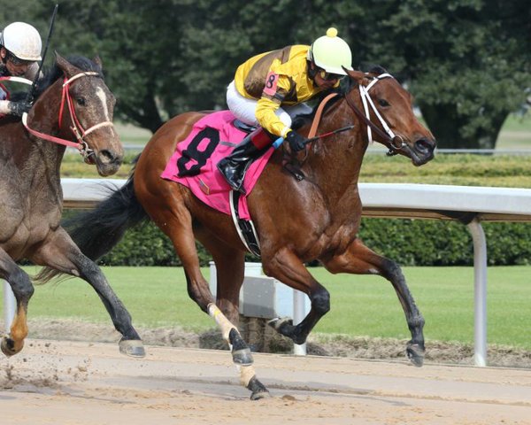 National interest keen in Arkansas stakes today