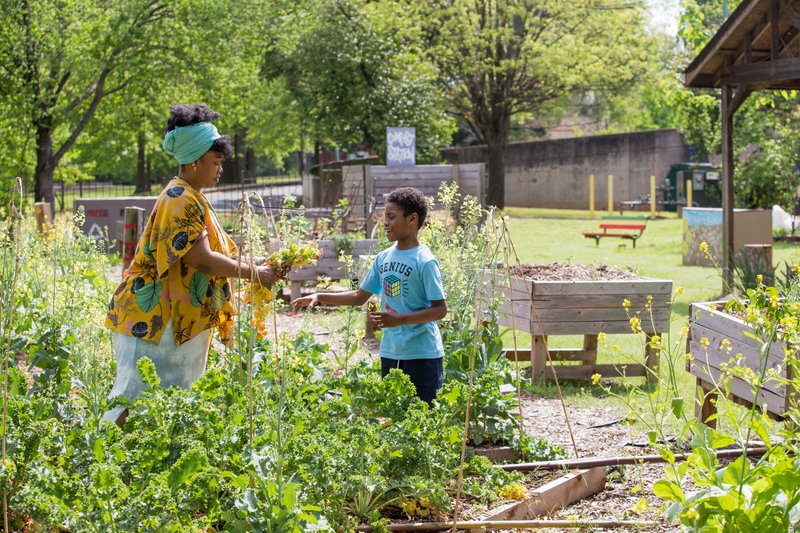 Amina Robinson, who works in customer service for Delta, tends the Habesha community garden pruning kale in the Mechanicsville neighborhood with help from her oldest son, Khaiye Robinson, 11, on Thursday, April 9, 2020. Amina took a training class at the garden last year. "It really is coming into good use," she said. "I need to get out here in the earth." (Jenni Girtman for Atlanta Journal Constitution)