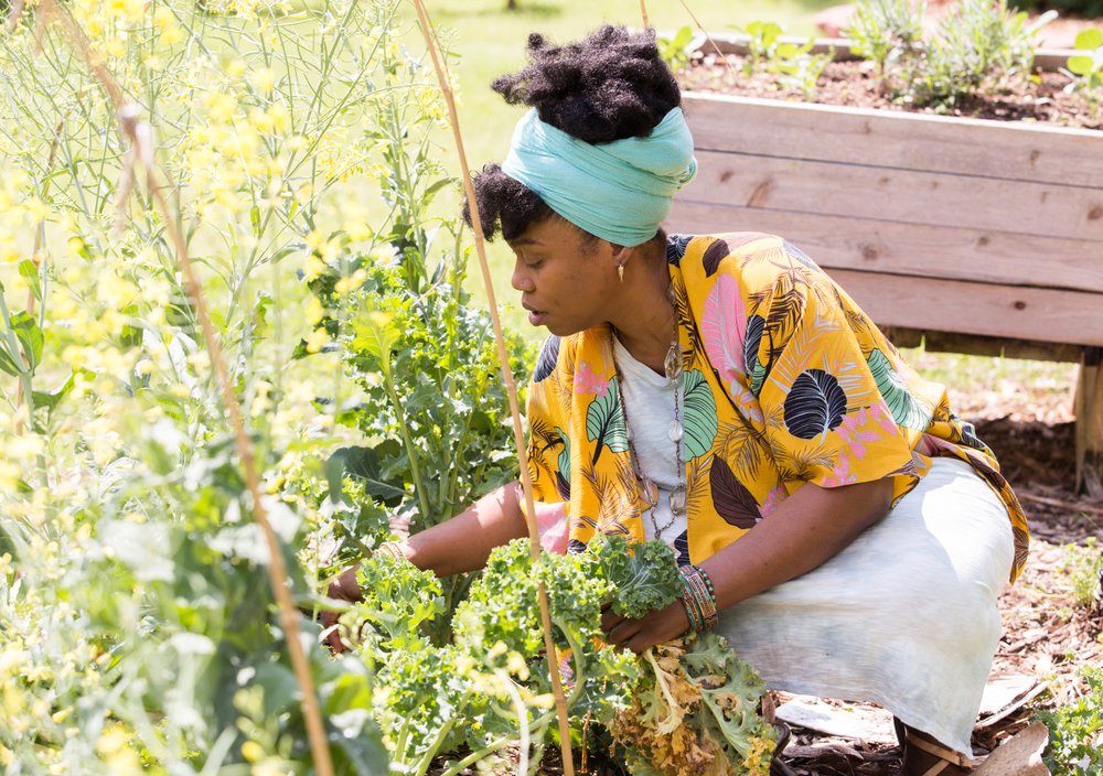 Amina Robinson, who works in customer service for Delta, tends the Habesha community garden pruning kale in the Mechanicsville neighborhood Thursday, April 9, 2020. Amina took a training class at the garden last year. "It really is coming into good use," she said. "I need to get out here in the earth." (Jenni Girtman for Atlanta Journal Constitution)