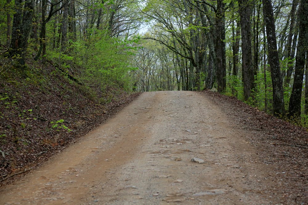 WATCH Winona Auto Tour showcases eastern section of national forest