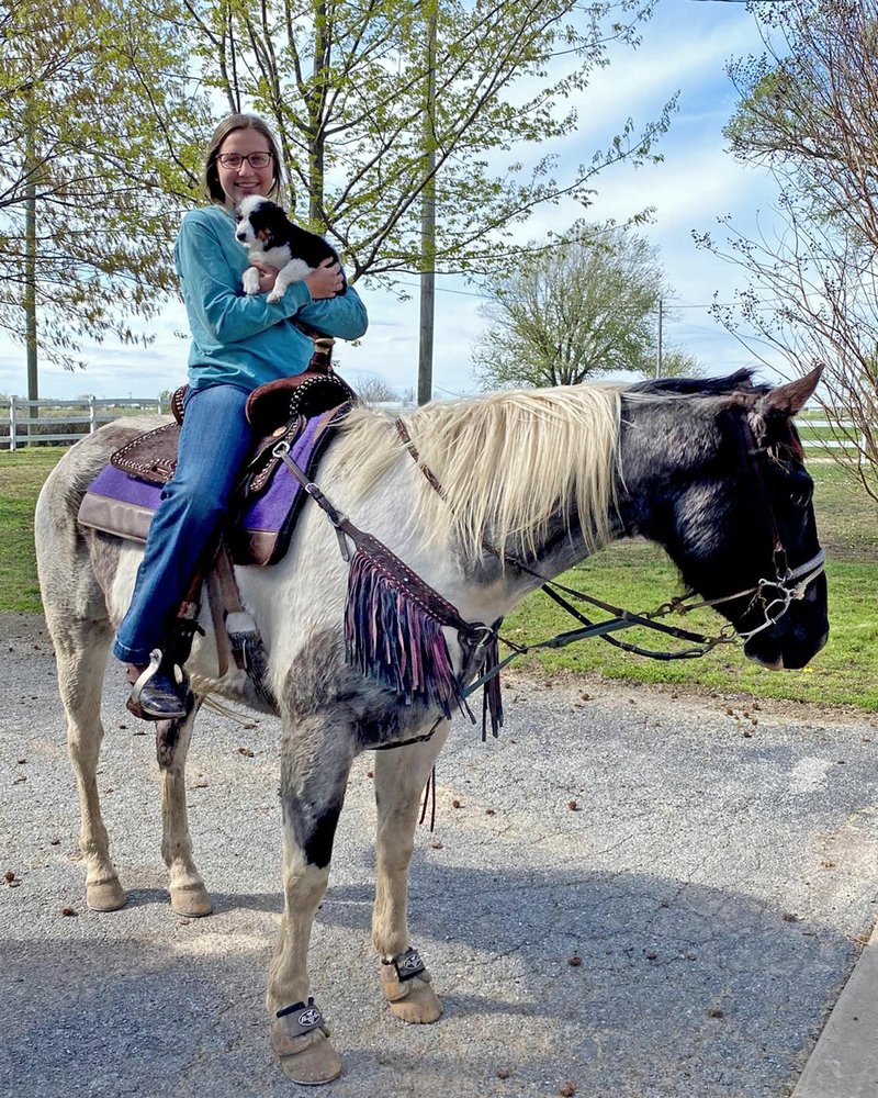 Photo submitted Hannah DeVoe, a sophomore at Siloam Springs High School, rides one of her horses while holding a puppy. DeVoe is finding more time to spend with her ag projects at home with schools closed for in-person instruction.