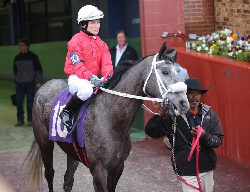 Jockey Chel-c Bailey is led out of the paddock on Wild and Golden for the 10th race on April 4 at Oaklawn Park. - Photo by Thomas Metthe of Arkansas Democrat-Gazette