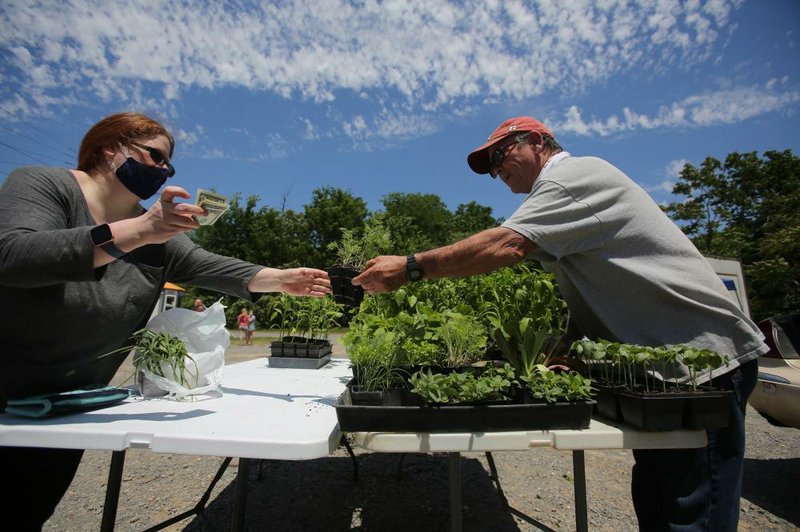 David James with Central Arkansas Veggies hands plants to Jennilee Foster of Alexander at the farmers market Saturday at the White Water Tavern in Little Rock. More photos at arkansasonline.com/53farmers/. (Arkansas Democrat-Gazette/Thomas Metthe) 