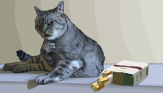 ASK THE VET: Second-hand smoke sickens cats | The Arkansas Democrat-Gazette 