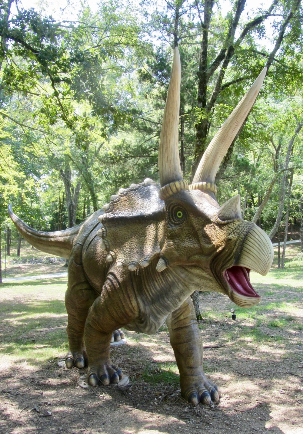 A model of a triceratops is one of the Dinotrek creatures at Mid-America Science Museum, which offers an online visit.
(Special to the Democrat-Gazette/Marcia Schnedler)