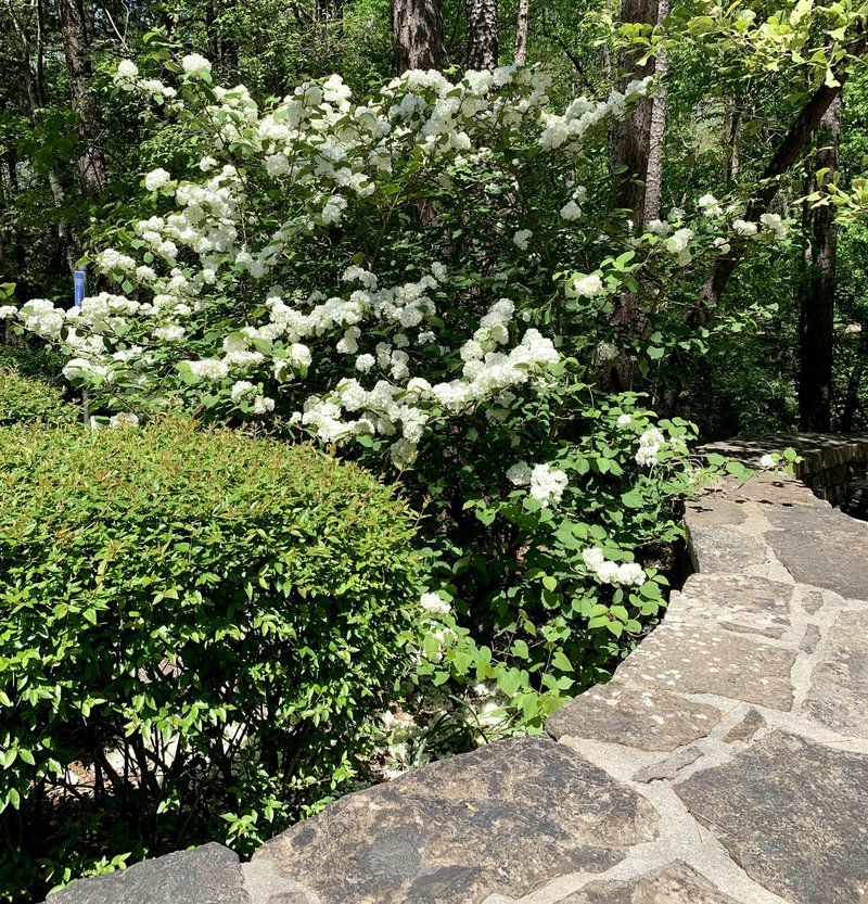 Sally Carroll/The Weekly Vista Landscaping at the Mildred B. Cooper Memorial Chapel enhances the area's natural beauty. Many are finding solace and comfort at the chapel during this time. Staff members also have utilized the past few weeks to do additional landscaping duties, erect new signage and install new parking lot lights.