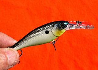 bait fish hook Snag Proof Zoo Kick Purple Burst
