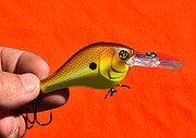 Crank it! Time-tested crankbaits excellent for all anglers
