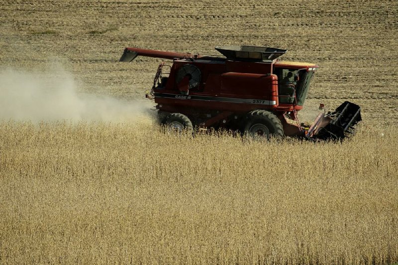 A farmer harvests soybeans in a field near Concordia, Mo., last year.
(AP)