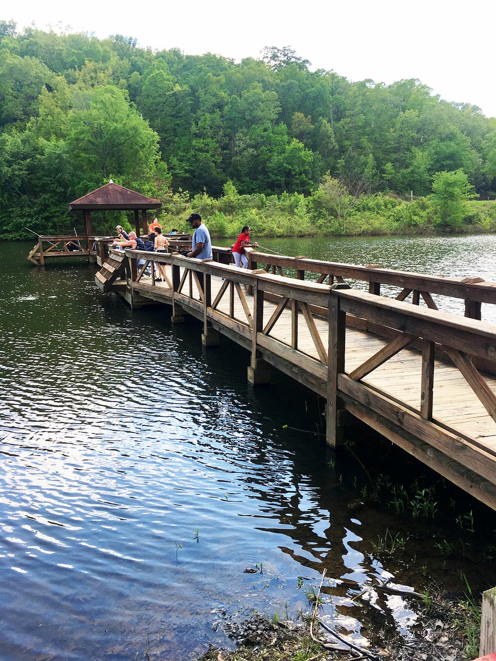 WATCH Woolly Hollow State Park still visitors during pandemic