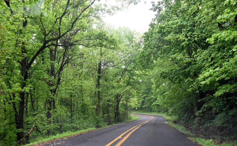 Arkansas 220 curves, climbs and dips for 17 miles between Devil's Den State Park and Arkansas 59. Much of the rural state highway, seen here on April 24 2020, twists through the Ozark National Forest for a scenic drive that features mountain vistas, streams and pastoral countryside. (NWA Democrat-Gazette/Flip Putthoff)