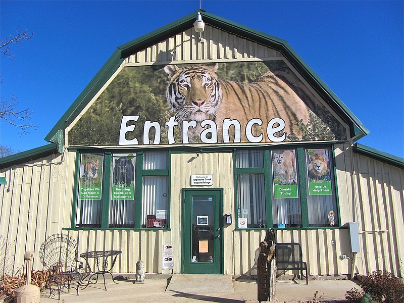 Turpentine Creek Wildlife Refuge, south of Eureka Springs, houses tigers and other big cats pictured on its website. Conservation is the focus of the park.

(Special to the Democrat-Gazette/Marcia Schnedler)