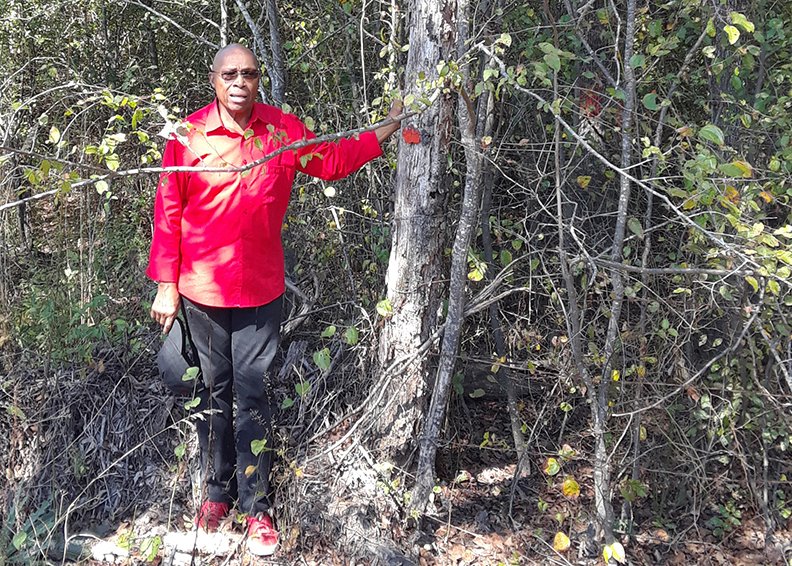 Harding Deon indicates marked property boundaries on his land. Forest landowners should have their property boundaries marked before implementing forestry conservation practices or conducting other management activities such as harvesting timber. - Submitted photo