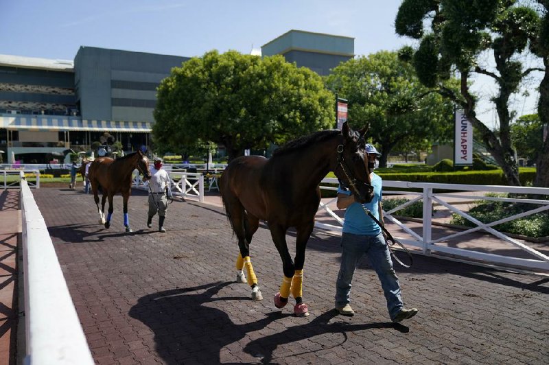 Grooms wearing face masks lead horses to the paddock at Santa Anita Park in Arcadia, Calif. Horse racing returned to the track without spectators after being idled for more than a month. (AP/Ashley Landis) Grooms wearing face masks lead horses to the paddock at Santa Anita Park in Arcadia, Calif. Horse racing returned to the track without spectators after being idled for more than a month. (AP/Ashley Landis) 