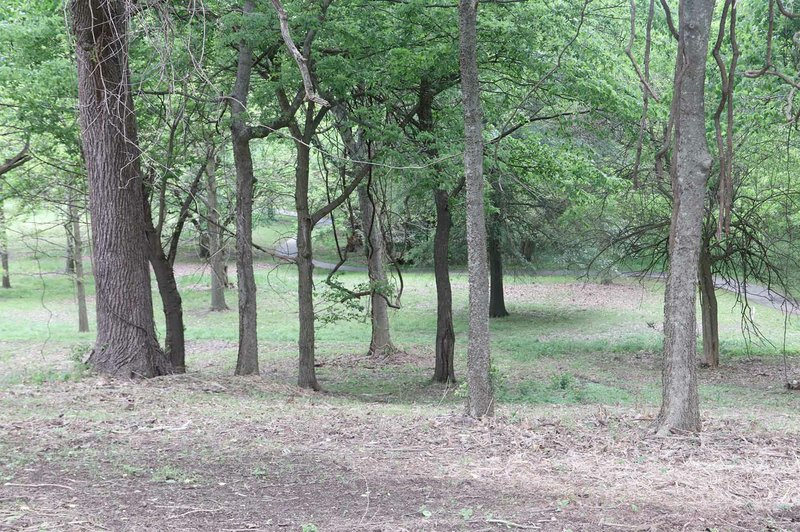 LYNN KUTTER ENTERPRISE-LEADER Prairie Grove Battlefield State Park has cleared out brush and smaller trees from the hillside below the Borden House and toward the eastern ridge to restore the area to how it most likely looked during the Dec. 7, 1862, Battle of Prairie Grove.