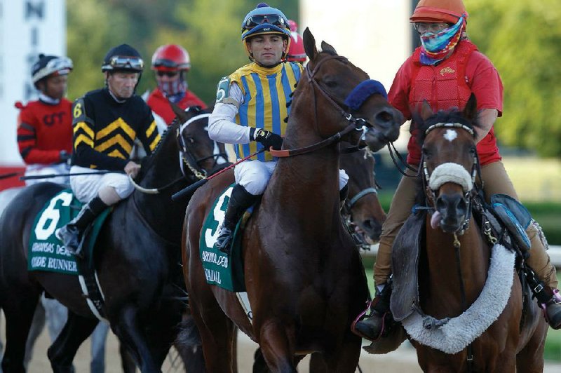 Nadal (middle), who won the second division of the Arkansas Derby at Oaklawn earlier this month, injured an ankle during a workout at Santa Anita on Thursday and is out of all Triple Crown races.
(Arkansas Democrat-Gazette/Thomas Metthe)