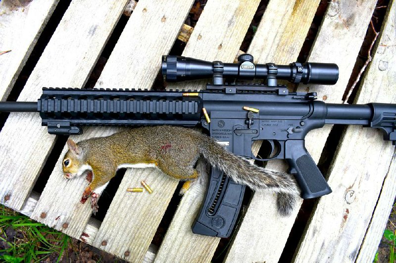 Despite its unconventional appearance, the author’s Smith & Wesson M&P 15-22 is an ideal squirrel hunting rifle. (Arkansas Democrat-Gazette/Bryan Hendricks) 

