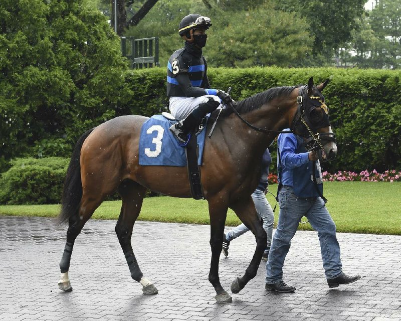 Fauci, with jockey Tyler Gaffalione aboard, is led from the paddock to the track for Wednesday’s third race at Belmont Park in Elmont, N.Y. The horse, named for Dr. Anthony Fauci, finished second in his debut.
(AP/New York Racing Association/Adam Coglianese)