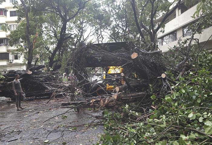 People in Mumbai, India, work Wednesday to clear trees uprooted by Cyclone Nisarga. More photos at arkansasonline.com/64india/.
(AP/Rajanish Kakade)