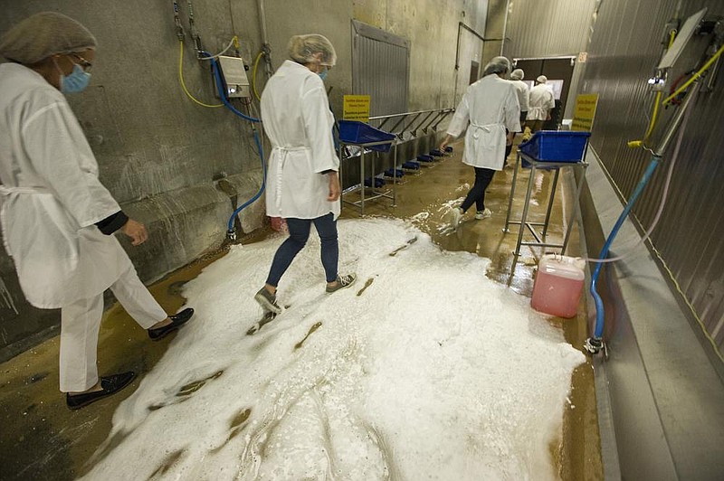 During a tour of the Tyson Foods Chick-N-Quick plant in Rogers on Tuesday, guests walk through disinfecting foam at the entrance to the “stack off” packaging area. Tyson says it has implemented measures to curb the rise in coronavirus cases at its plants in Benton and Washington counties.
(NWA Democrat-Gazette/Ben Goff)