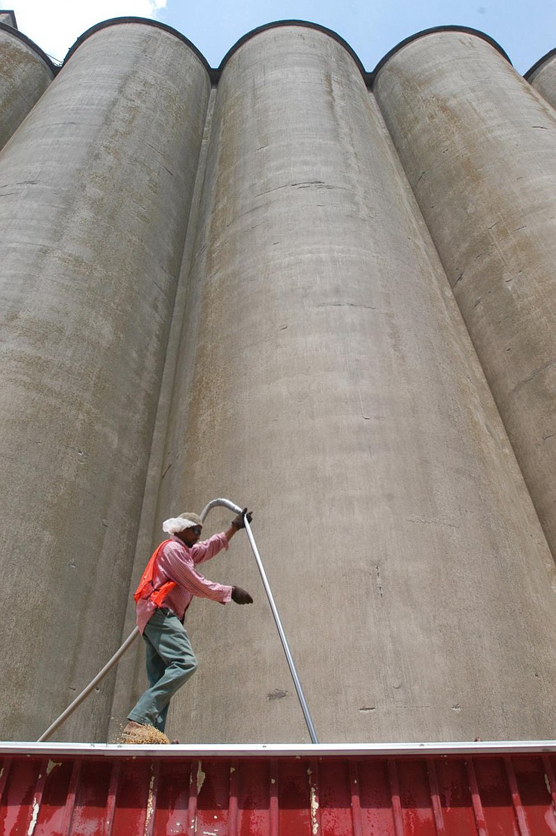 An employee with Producers Rice Mill walks atop a truckload of rice preparing to extract samples in this file photo at the mill in Stuttgart. A plan for a 20-megawatt solar farm to help power the facility in Stuttgart is set to be evaluated this summer by the Arkansas Public Service Commission. (Arkansas Democrat-Gazette ) 
