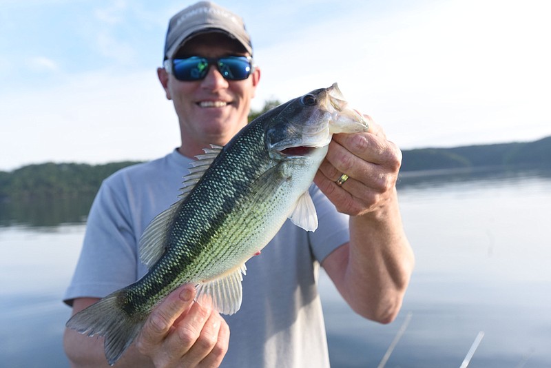 Spotted bass are the subject of a statewide study by the Arkansas Game and Fish Commission. Don Grose of Beaver Shores shows a spotted bass he caught at Beaver Lake in May.
(NWA Democrat-Gazette/Flip Putthoff)